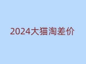 2024版大猫淘差价课程,新手也能学的无货源电商课程-湘创网