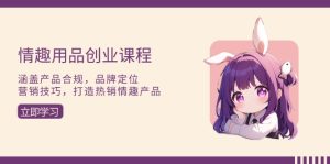 (13682期)情趣用品创业课程:涵盖产品合规,品牌定位,营销技巧,打造热销情趣产品-湘创网