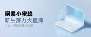 网易小蜜蜂,最新大蓝海项目,单日轻松日涨千粉-湘创网