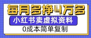 小红书虚拟资料项目,0成本简单复制,每个月多挣1W【揭秘】-湘创网