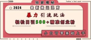 最新搬运混剪暴力引流玩法,轻松日引500+精准创业粉,小白可零基础上手-湘创网