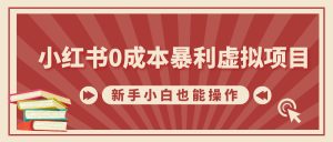 小红书0成本暴利虚拟项目,新手小白也能操作,轻松实现月入过W-湘创网