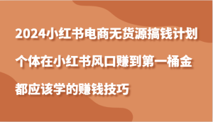 2024小红书电商无货源搞钱计划,个体在小红书风口赚到第一桶金应该学的赚钱技巧-湘创网