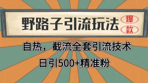 抖音小红书视频号全平台引流打法,全自动引流日引2000+精准客户-湘创网