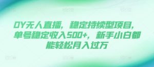 DY无人直播,稳定持续型项目,单号稳定收入500+,新手小白都能轻松月入过万【揭秘】-湘创网