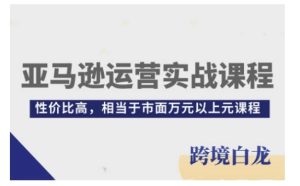 亚马逊运营实战课程,亚马逊从入门到精通,性价比高,相当于市面万元以上元课程-湘创网