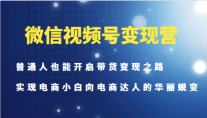 微信视频号变现营-普通人也能开启带货变现之路,实现电商小白向电商达人的华丽蜕变-湘创网