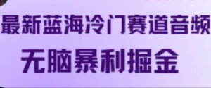最新蓝海冷门赛道音频,无脑暴利掘金-湘创网