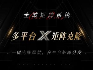 (13126期)全域矩阵系统,可一键克隆爆款矩阵分发到多个平台!矩阵操作日引流500+!-湘创网