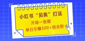 小红书“另类”打法,开局一张图,单日引爆500+精准创业粉【揭秘】-湘创网