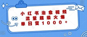 小红书治愈视频,流量超级火爆,单日变现1000+-湘创网