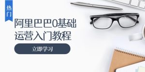 (13291期)阿里巴巴运营零基础入门教程:涵盖开店、运营、推广,快速成为电商高手-湘创网