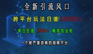 全新引流风口,跨平台玩法日入上k,单日狂揽200+精准创业粉,一个被严重忽略的视频平台-湘创网