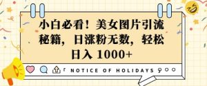 小白必看,美女图片引流秘籍,日涨粉无数,轻松日入几张【揭秘】-湘创网