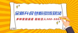 全新升级S粉引流玩法 多种变现渠道 轻松日入多张-湘创网