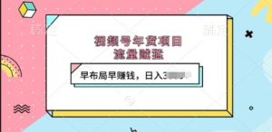 视频号年货项目,流量贼猛,早布局早挣钱,日入上k【揭秘】-湘创网