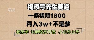 (13564期)视频号养生赛道,一条视频1800,超简单,长期稳定可做,月入3w+不是梦-湘创网