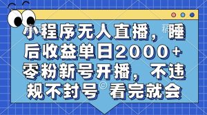 (13251期)小程序无人直播,睡后收益单日2000+ 零粉新号开播,不违规不封号 看完就会-湘创网