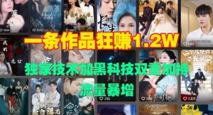 一条作品收益1.2w,独家技术加黑科技双重加持,流量暴增-湘创网