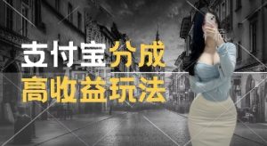 支付宝分成计划新玩法,利用交通事故视频,赚收益,轻松月入过W,操作简单【揭秘】-湘创网