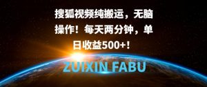 搜狐视频纯搬运,无脑操作!每天两分钟,单日收益5张-湘创网