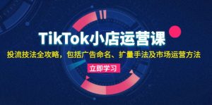 (13063期)TikTok小店运营课:投流技法全攻略,包括广告命名 扩量手法及市场运营方法-湘创网