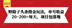 野路子头条撸金玩法,单号收益20~200+每天,项目包落地-湘创网