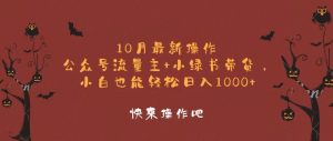 (12977期)10月最新操作,公众号流量主+小绿书带货,小白轻松日入1000+-湘创网