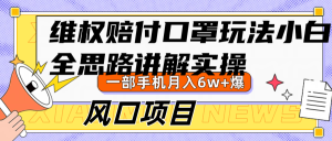 维权赔付口罩玩法,小白也能月入6w+,风口项目实操-湘创网