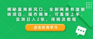 揭秘蓝海新风口,全新网易有道搬砖项目,操作简单,可直接上手,实测日入2张,保姆及教程-湘创网