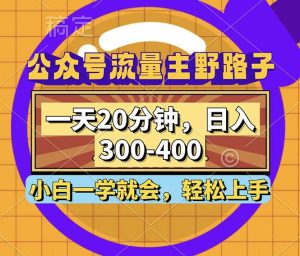 （12866期）公众号流量主野路子玩法，一天20分钟，日入300~400，小白一学就会-湘创网