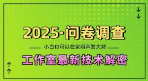 2025问卷调查最新工作室技术解密:一个人在家也可以闷声发大财,小白一天2张,可矩阵放大【揭秘】-湘创网