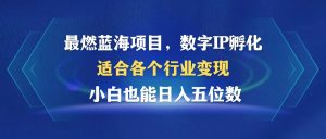(12941期)最燃蓝海项目  数字IP孵化  适合各个行业变现  小白也能日入5位数-湘创网