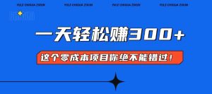 （13702期）零成本入门！简单几步开启一天300+的赚钱之路！-湘创网