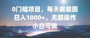 (13160期)0门槛项目,每天截截图,日入1000+,轻松无脑,小白可做-湘创网