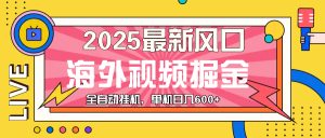 (13649期)最近风口,海外视频掘金,看海外视频广告 ,轻轻松松日入600+-湘创网