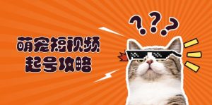 (13135期)萌宠-短视频起号攻略:定位搭建推流全解析,助力新手轻松打造爆款-湘创网