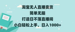 (13502期)淘宝无人直播卖货 简单无脑 打造日不落直播间 小白轻松上手,日入1000+-湘创网