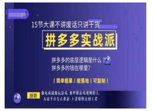 朋哥电商(拼多多实战派),15节大课不讲废话只讲干货,简单粗暴 能落地 可复制-湘创网