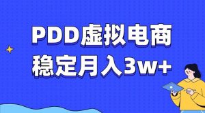 (13801期)PDD虚拟电商教程,稳定月入3w+,最适合普通人的电商项目-湘创网