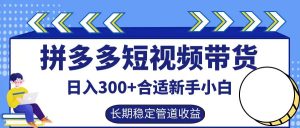 拼多多短视频带货日入300+,实操账户展示看就能学会-湘创网