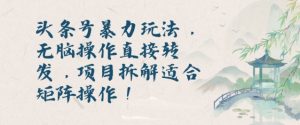 头条号暴力玩法,无脑操作直接转发,项目拆解适合矩阵操作!-湘创网