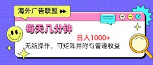 (13151期)海外广告联盟,每天几分钟日入1000+无脑操作,可矩阵并附有管道收益-湘创网