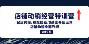 店铺动销经营特训营:起店实操/精准拉新/0基础开店运营/店铺动销全面升级-湘创网