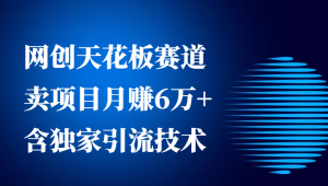网创天花板赛道,卖项目月赚6万+,含独家引流技术(共26节课)-湘创网