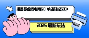 (13806期)拼多多虚拟电商,单人操作10家店,单店日盈利500+-湘创网