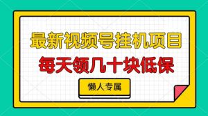 (13452期)视频号挂机项目,每天几十块低保,懒人专属-湘创网