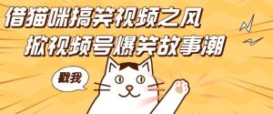 借猫咪搞笑视频之风,掀视频号爆笑故事潮,轻松日入四位数,无门槛快速入门!-湘创网