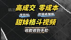 (13384期)高成交零成本,售卖甜妹格斗视频,谁发谁火,加爆微信,收款收到手软-湘创网