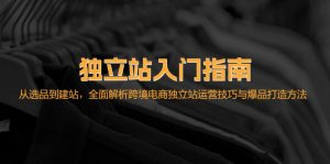 (12882期)独立站入门指南:从选品到建站,全面解析跨境电商独立站运营技巧与爆品...-湘创网